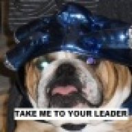 Bulldog3652