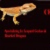 Reptileman044