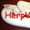 HerpVenue