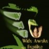 wideawakereptiles