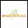 ReptileFreaks01