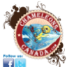 Chameleons Canada