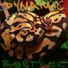 DynamicReptilez