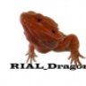 RIAL_Dragons