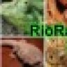 Riorayreptiles