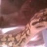 BlackAce