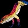 Nikkis Reptile Room