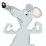 BulkMice.com
