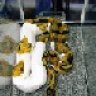Blood Python171