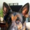 KCGSD82