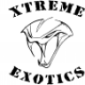 xtremeexotics