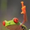 Herper1978