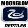 MoonGlow