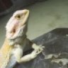 DragonXchange