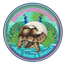 LRtortoises