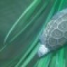turtleswim05