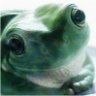 4FineFrogs