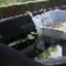 SpiderReptiles