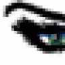 indianaturtles