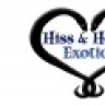 HissHerpsExotics