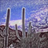 ArizonaEric