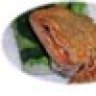 M&D Reptiles