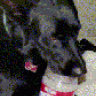 BillandJessie