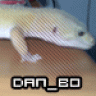 dan_bo