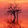Salton Sea