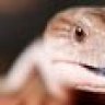 RmeDad