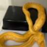 Snakeinc