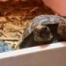 galapagosgirl1