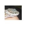 geckomom
