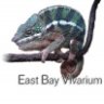 East_Bay_Vivarium