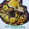 KPReptiles