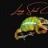 Long Shot Chameleons
