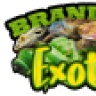WHOLESALEEXOTICS