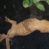 MarkNJPUSA