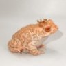 toadhearted