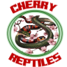 johncherryii