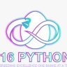 316Pythons