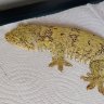 TheReptileEmporium26