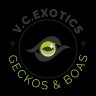 v.c.exotics
