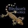 Bledsoes Exoticz