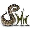 jackswildworld