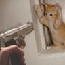 Cyberkitten36