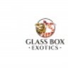 Glass Box Exotics