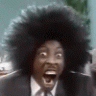 rubbadadolphin