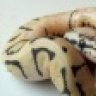 Naptown_Reptiles