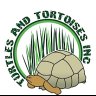 TURTLES AND TORTOISES INC